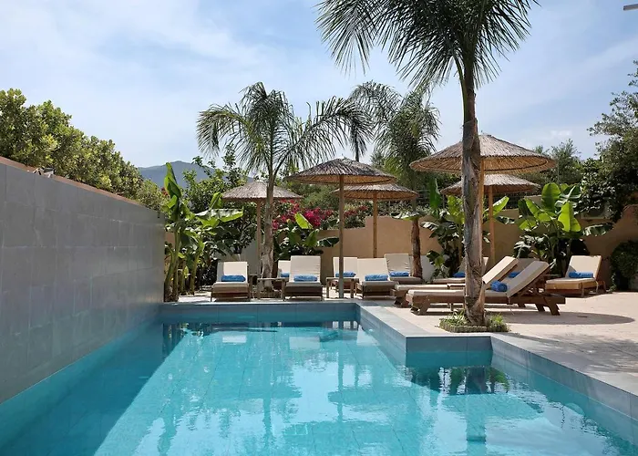 Dionysia S7 Apartment Alykanas (Zakynthos)